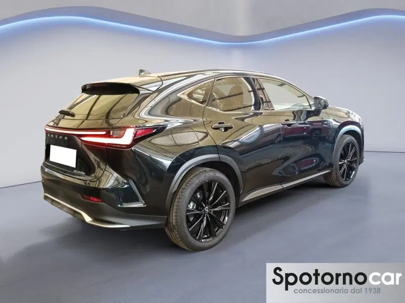 Lexus NX usata a Milano (19)