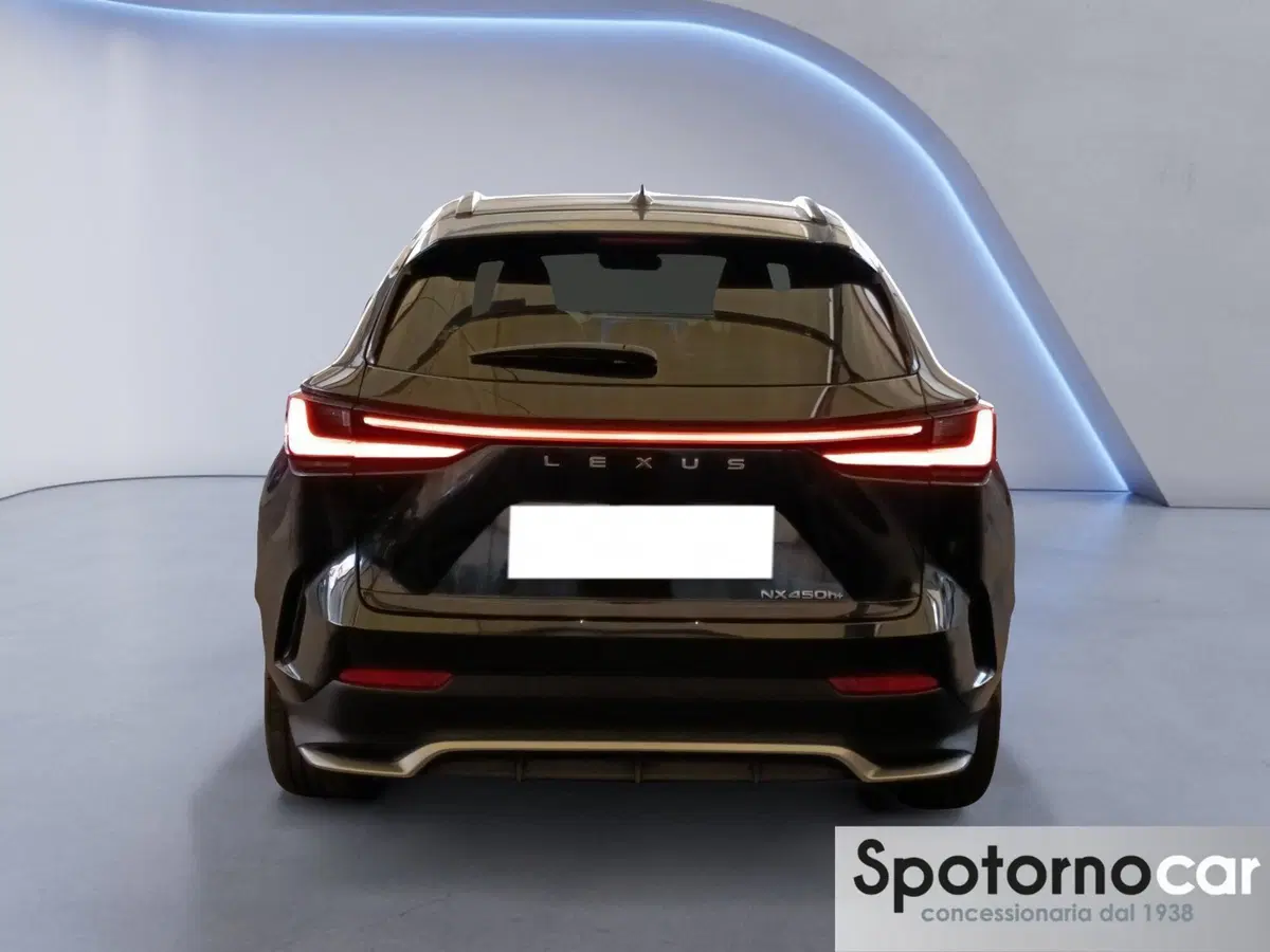 Lexus NX usata a Milano (3)