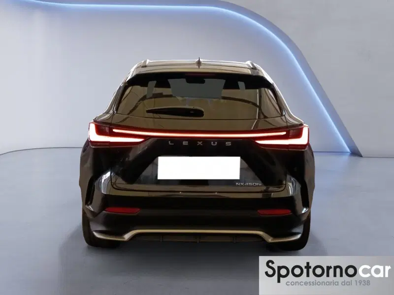 Lexus NX usata a Milano (3)