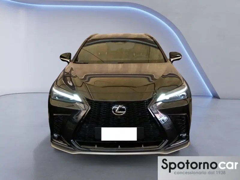 Lexus NX usata a Milano (4)