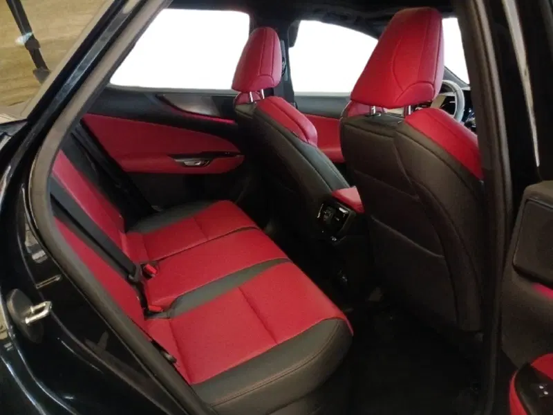 Lexus NX usata a Milano (7)