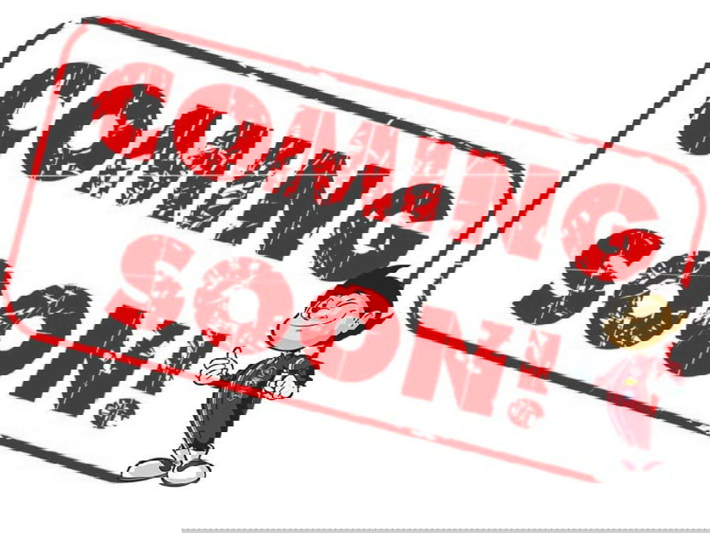 Fiat Panda usata a Bergamo