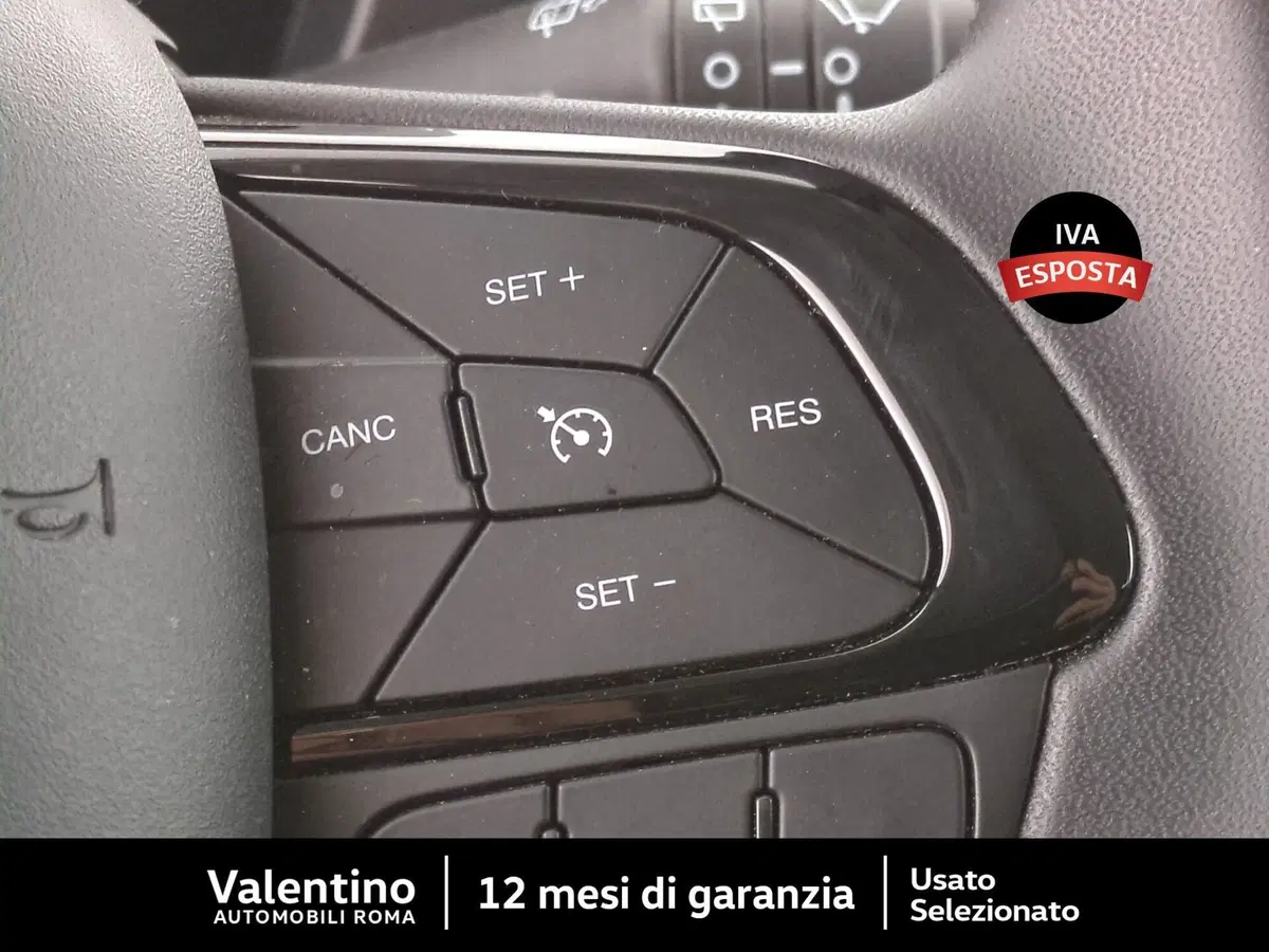 Fiat Panda Cross usata a Roma (15)