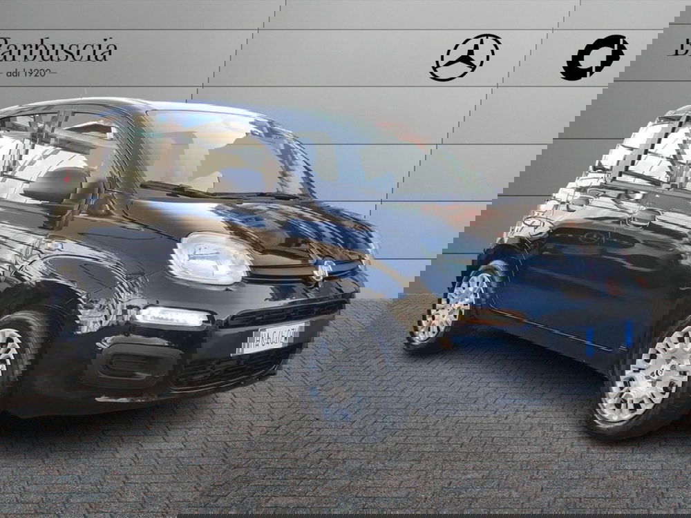 Fiat Pandina usata a Pescara (2)