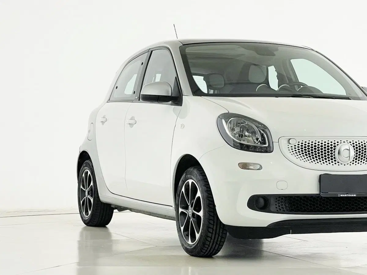 smart forfour usata a Perugia (10)