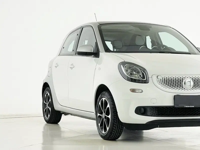 smart forfour usata a Perugia (10)