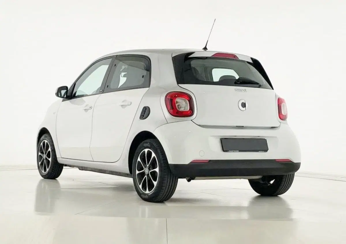 smart forfour usata a Perugia (12)