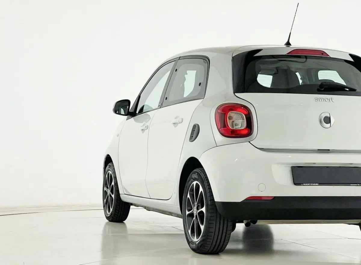 smart forfour usata a Perugia (13)