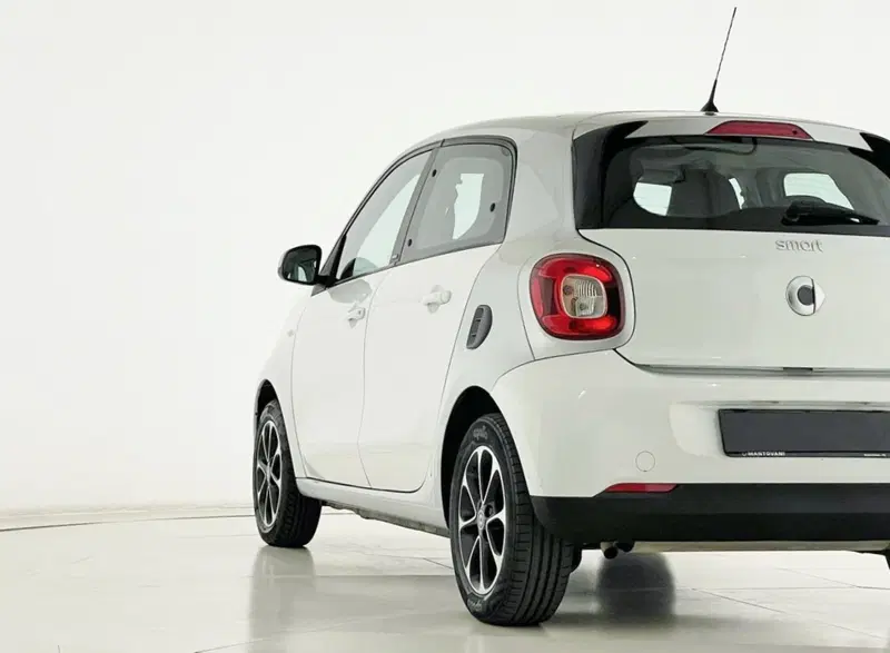 smart forfour usata a Perugia (13)