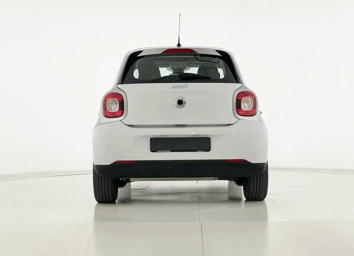 smart forfour usata a Perugia (14)
