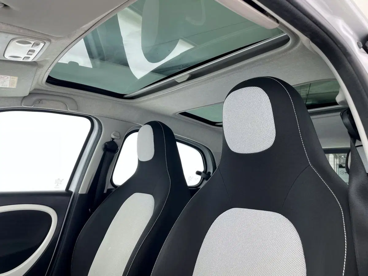 smart forfour usata a Perugia (17)