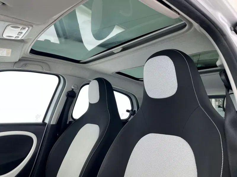 smart forfour usata a Perugia (17)