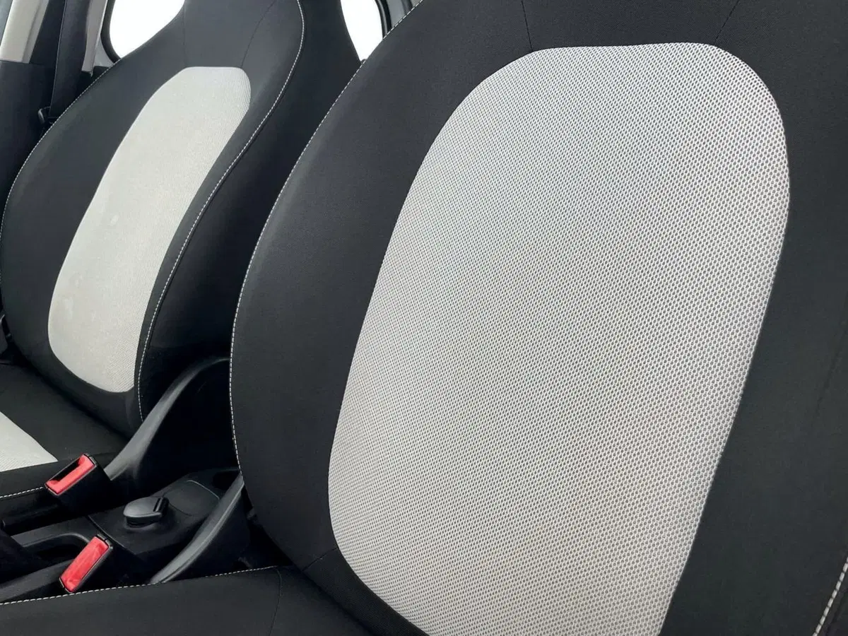 smart forfour usata a Perugia (18)