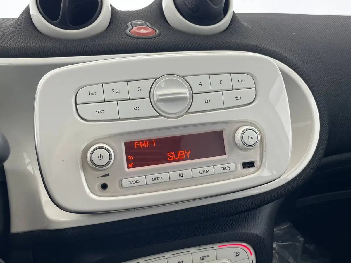smart forfour usata a Perugia (20)