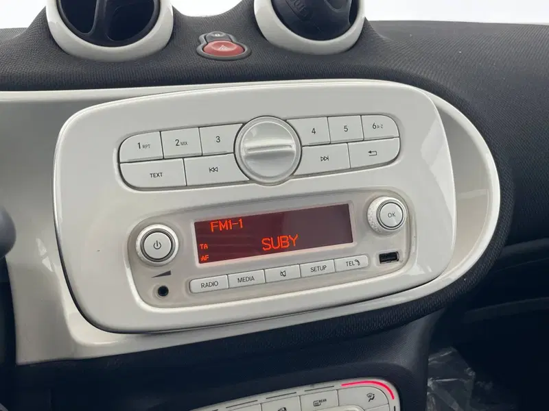 smart forfour usata a Perugia (20)