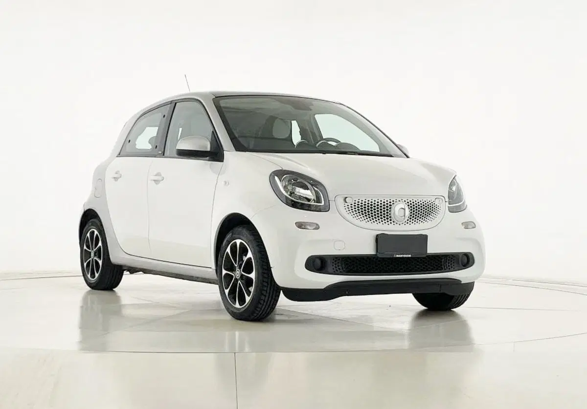 smart forfour usata a Perugia (9)