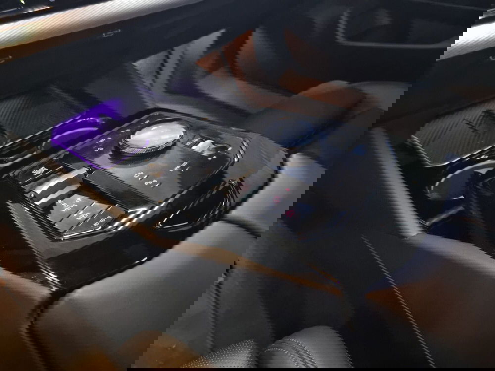 BMW Serie 5 Touring usata a Caserta (19)