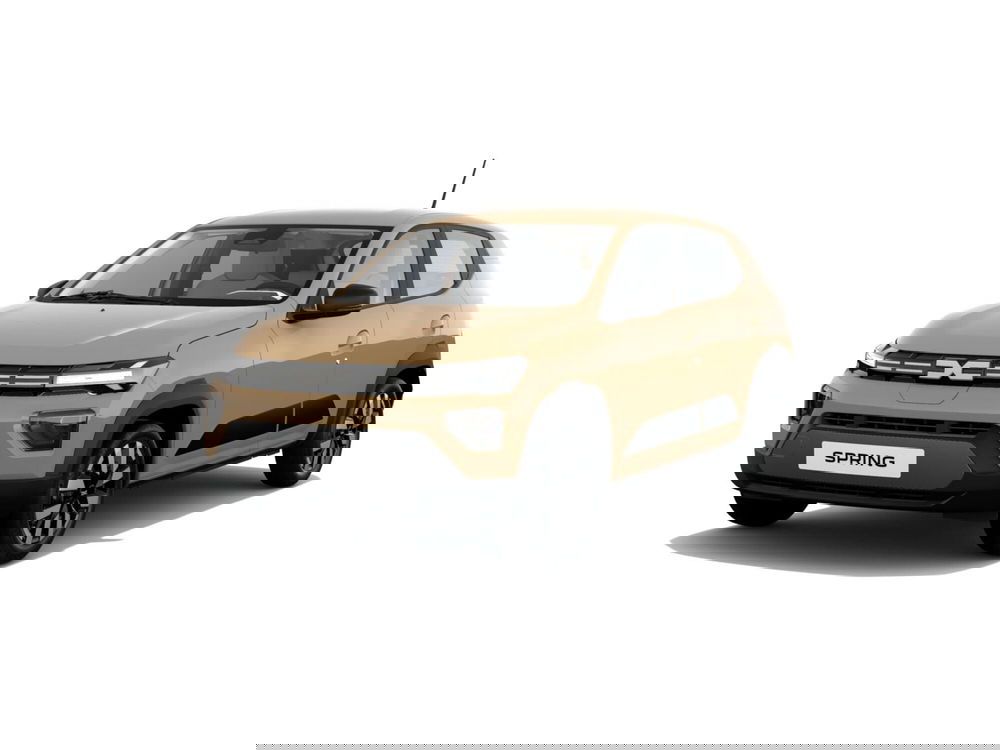 Dacia Spring usata a Torino