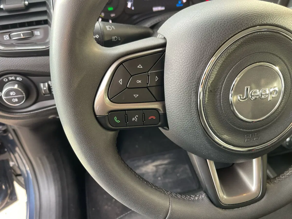 Jeep Renegade usata a Frosinone (17)