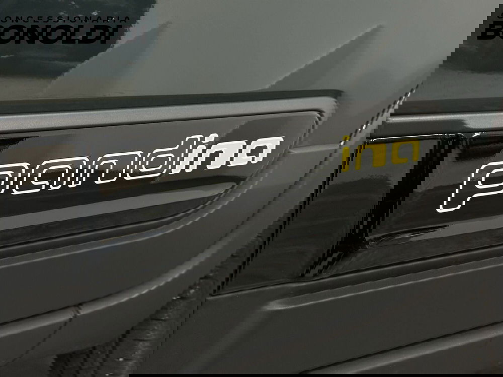 Fiat Pandina usata a Brescia (3)