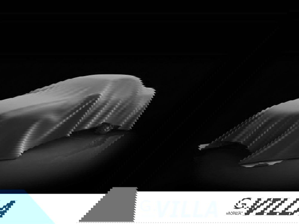 Fiat Panda usata a Monza e Brianza