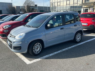 Fiat Panda 1.0 FireFly S&amp;S Hybrid Easy del 2022 usata a Verdello