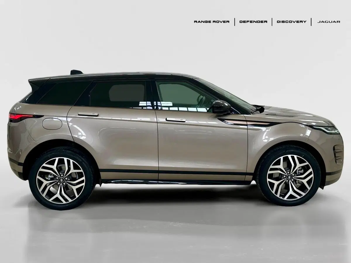 Land Rover Range Rover Evoque usata a Bari (6)