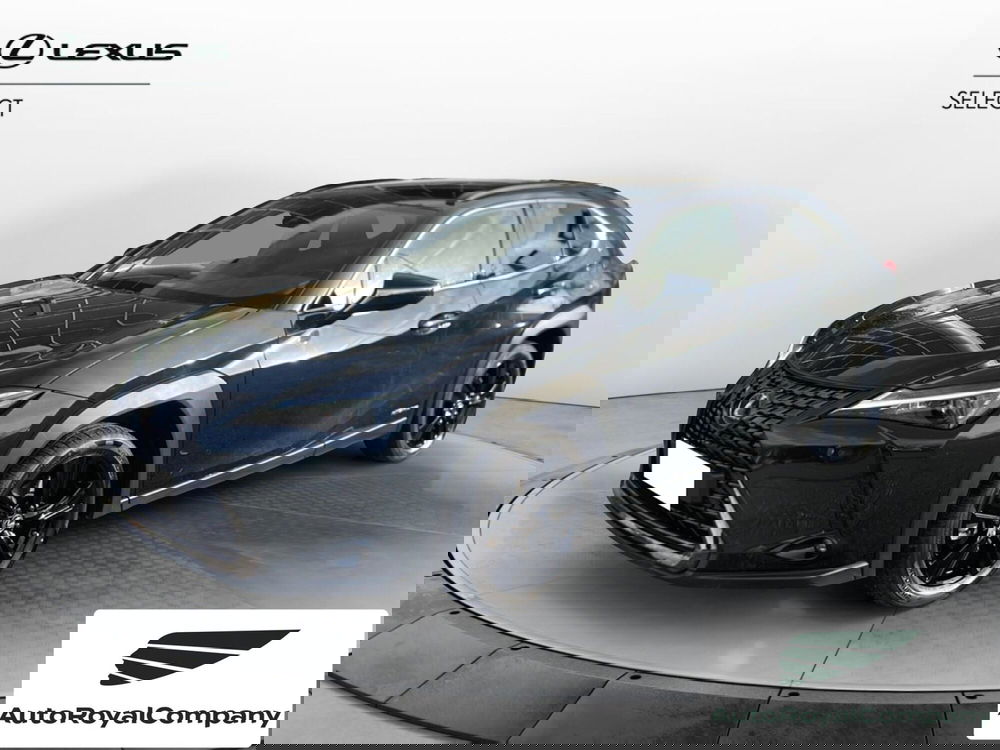 Lexus UX usata a Roma