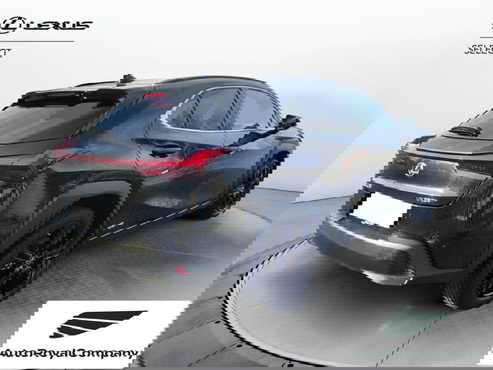 Lexus UX usata a Roma (6)