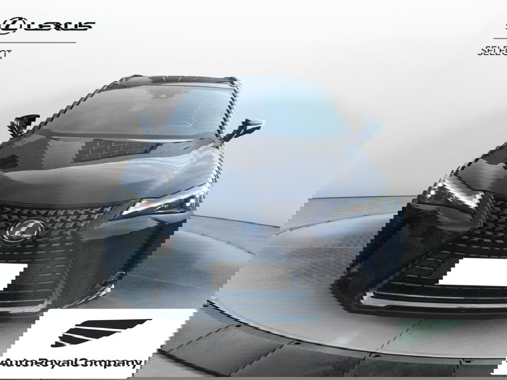 Lexus UX usata a Roma (8)