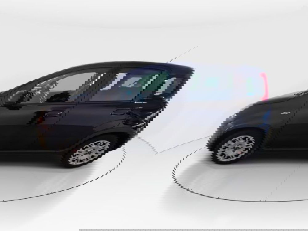 Fiat Panda usata a Modena (2)