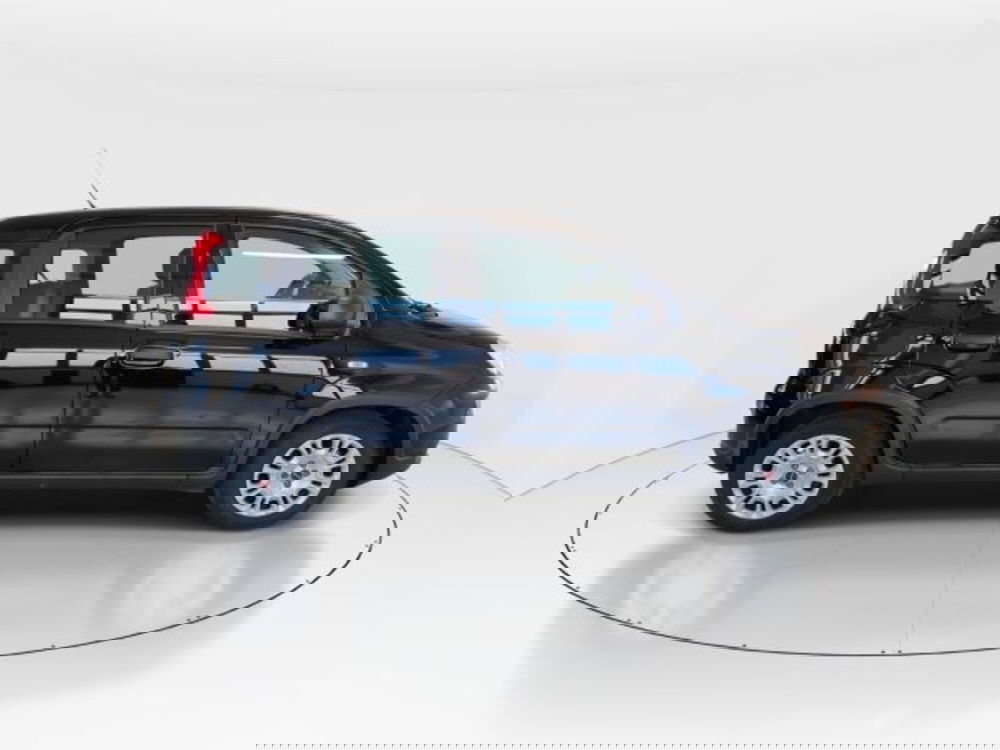 Fiat Panda usata a Modena (6)