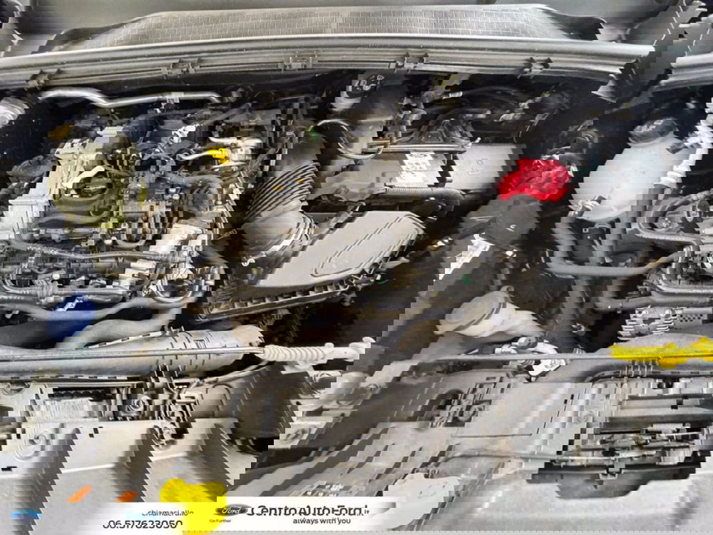 Ford Puma usata a Roma (12)