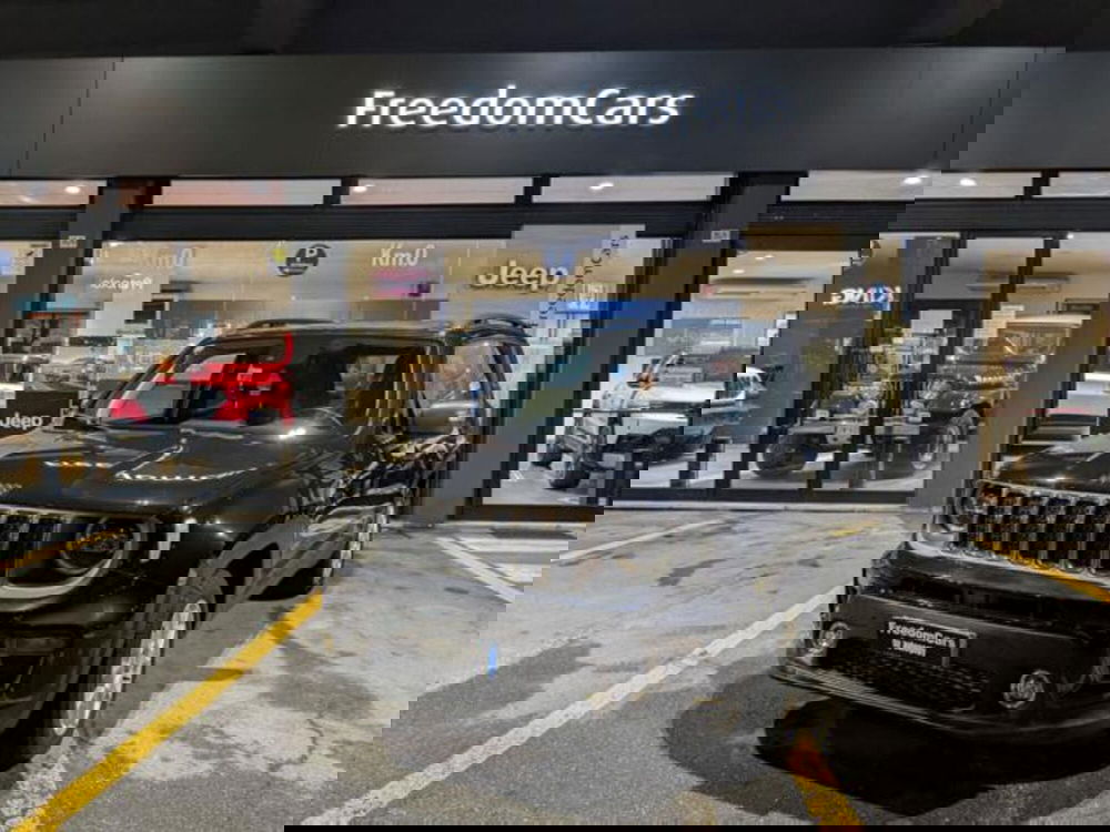 Jeep Renegade usata a Parma (2)