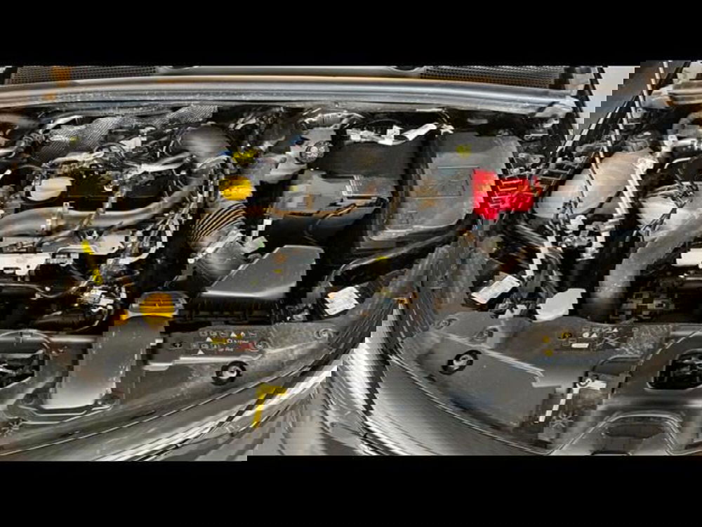 Renault Clio usata a Firenze (14)