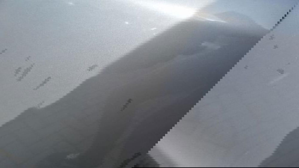 Fiat Panda usata a Savona (16)