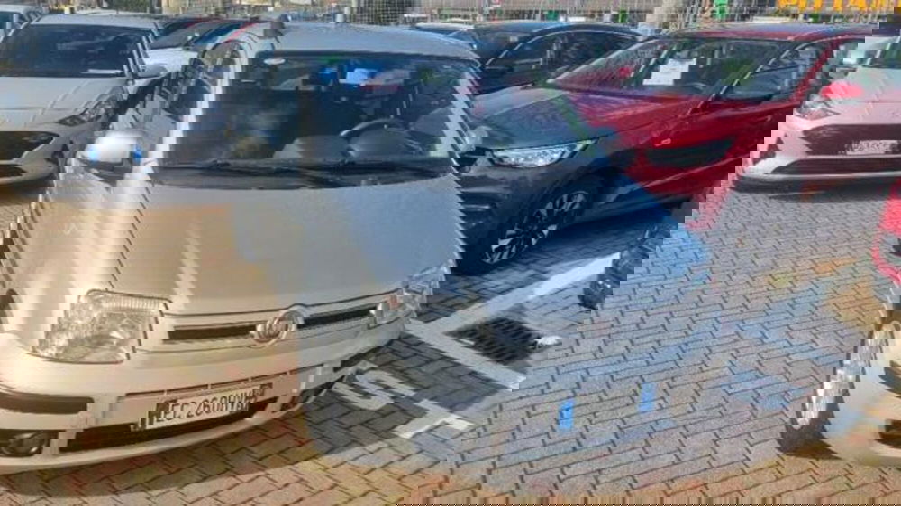 Fiat Panda usata a Savona (5)
