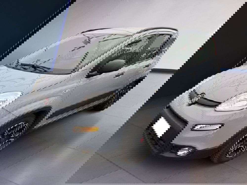 Fiat Panda usata a Torino (2)