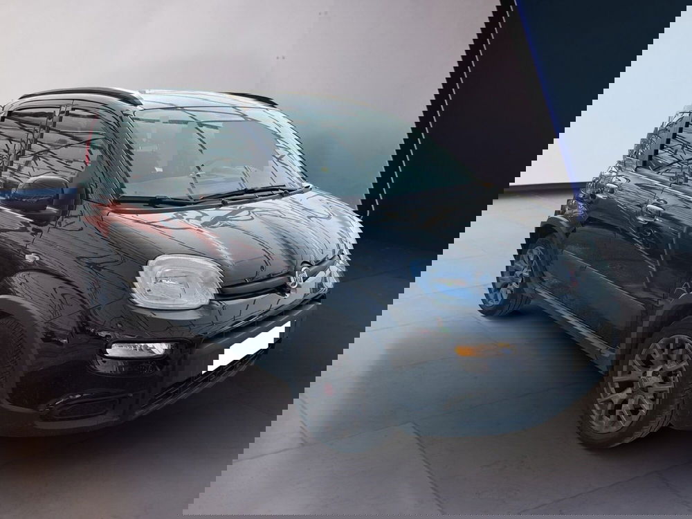 Fiat Panda usata a Torino (3)