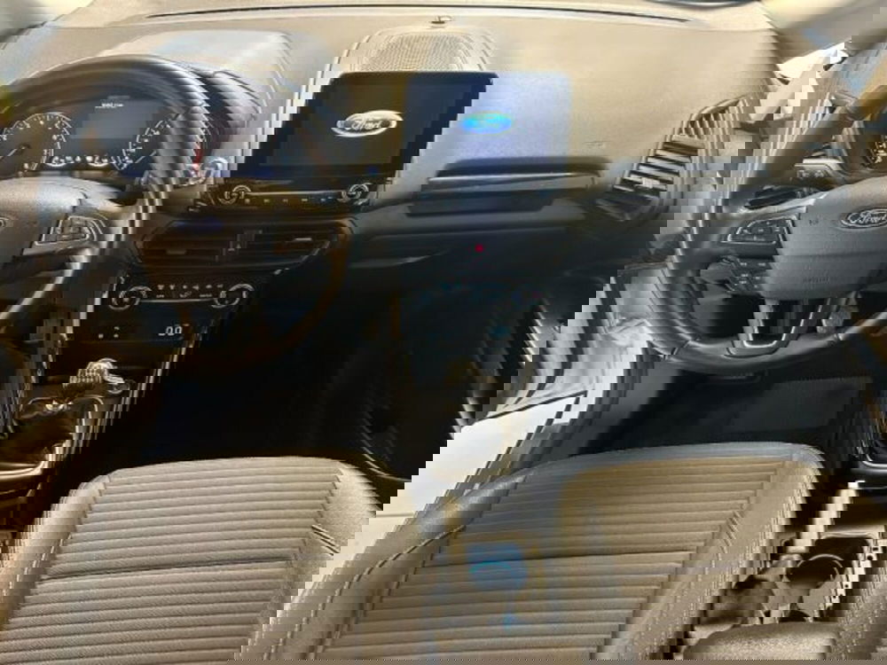 Ford EcoSport usata a Cuneo (10)