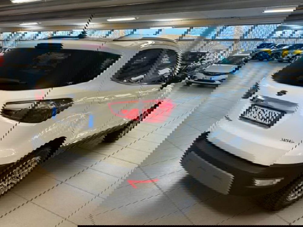 Ford EcoSport usata a Cuneo (7)