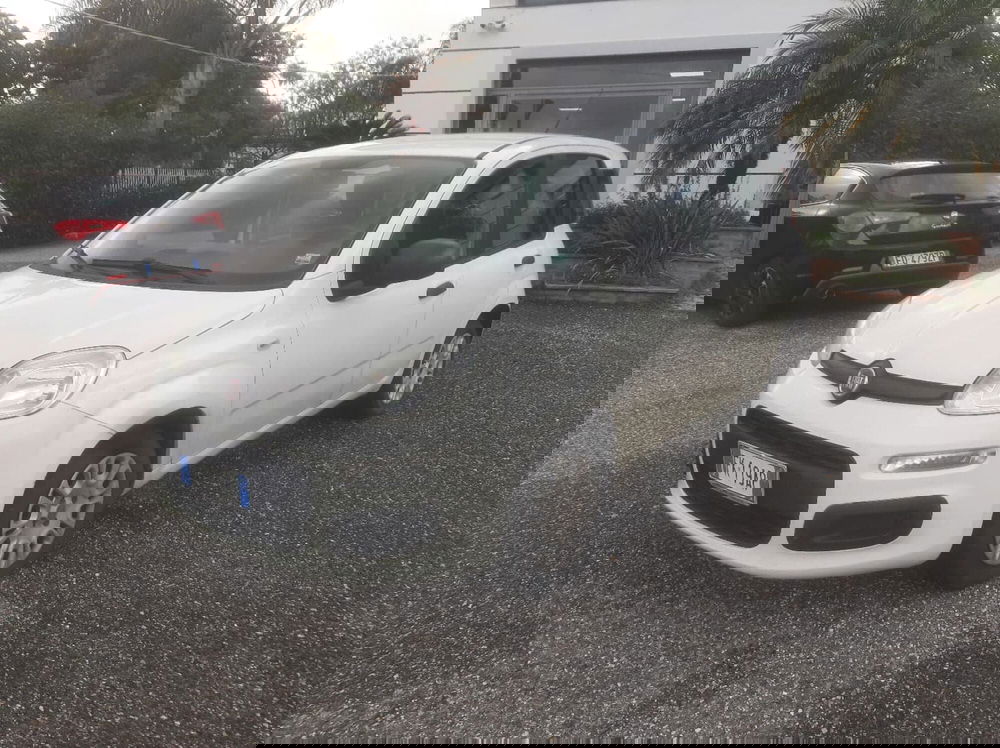 Fiat Panda usata a Catanzaro (2)
