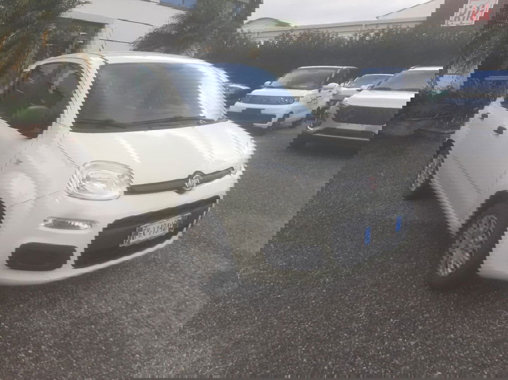 Fiat Panda usata a Catanzaro (3)