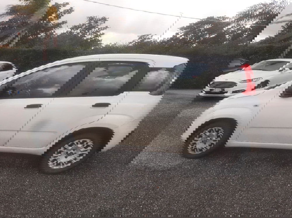 Fiat Panda usata a Catanzaro (4)