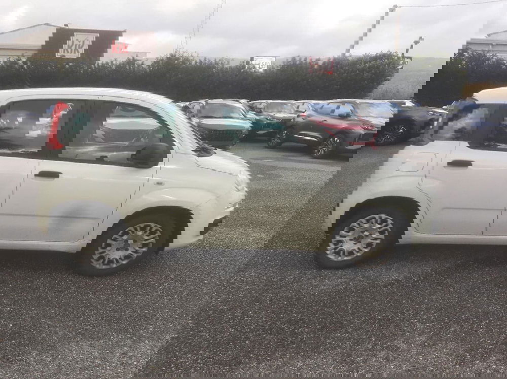 Fiat Panda usata a Catanzaro (5)