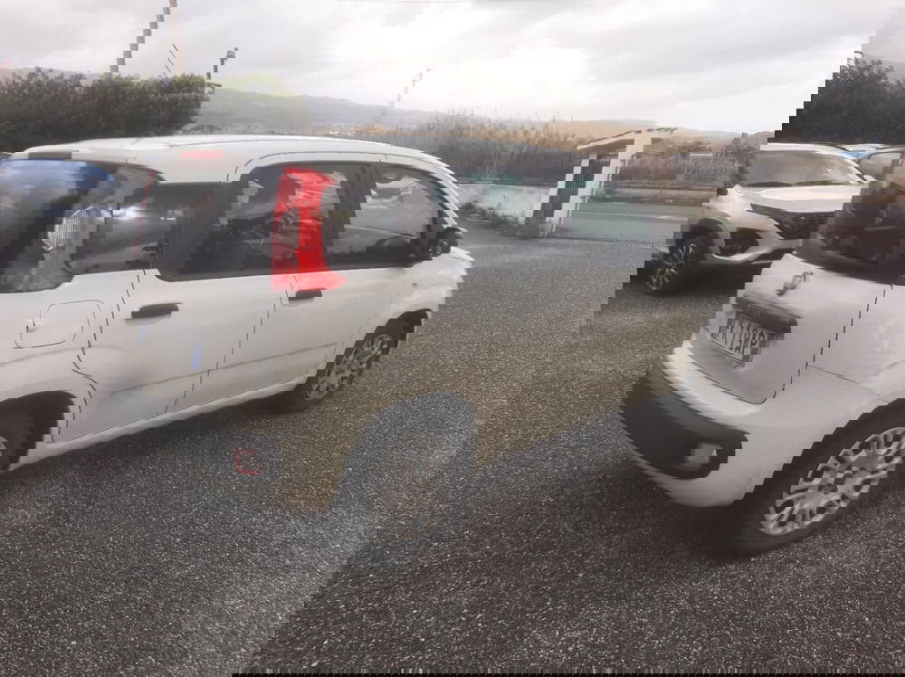 Fiat Panda usata a Catanzaro (6)