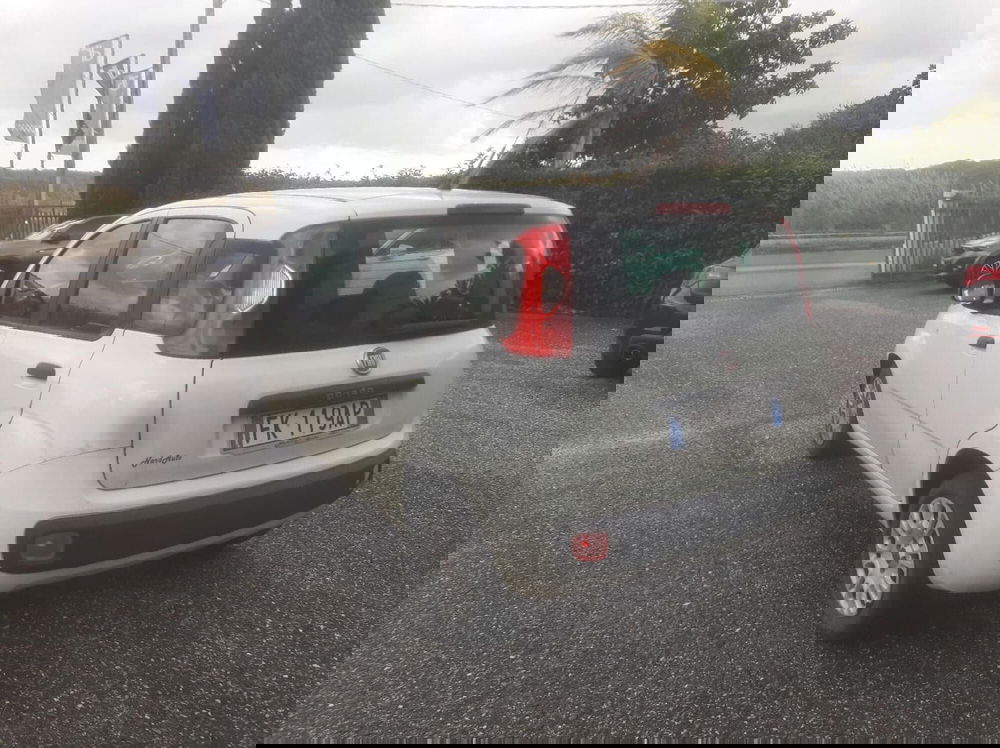 Fiat Panda usata a Catanzaro (7)