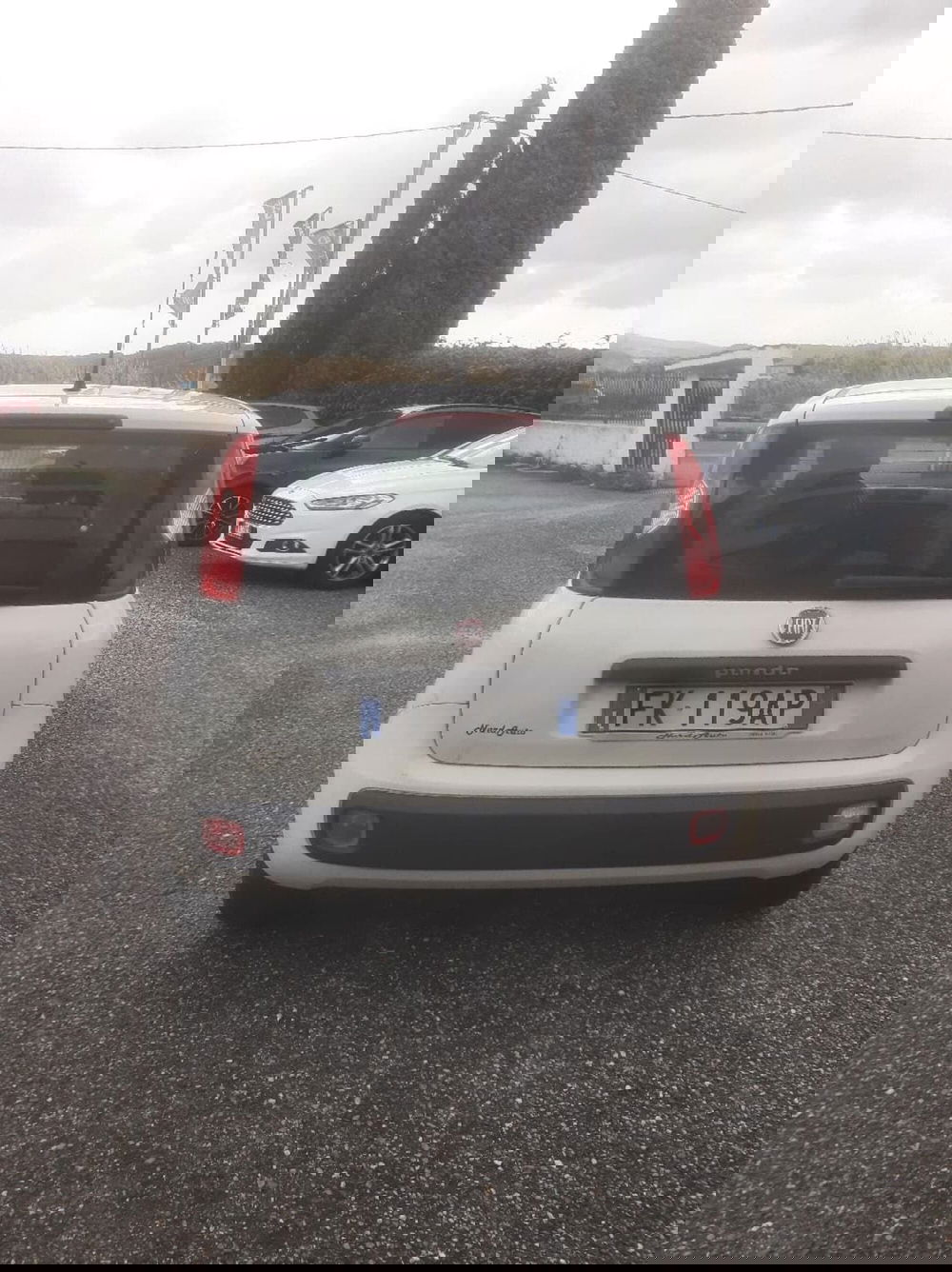 Fiat Panda usata a Catanzaro (8)