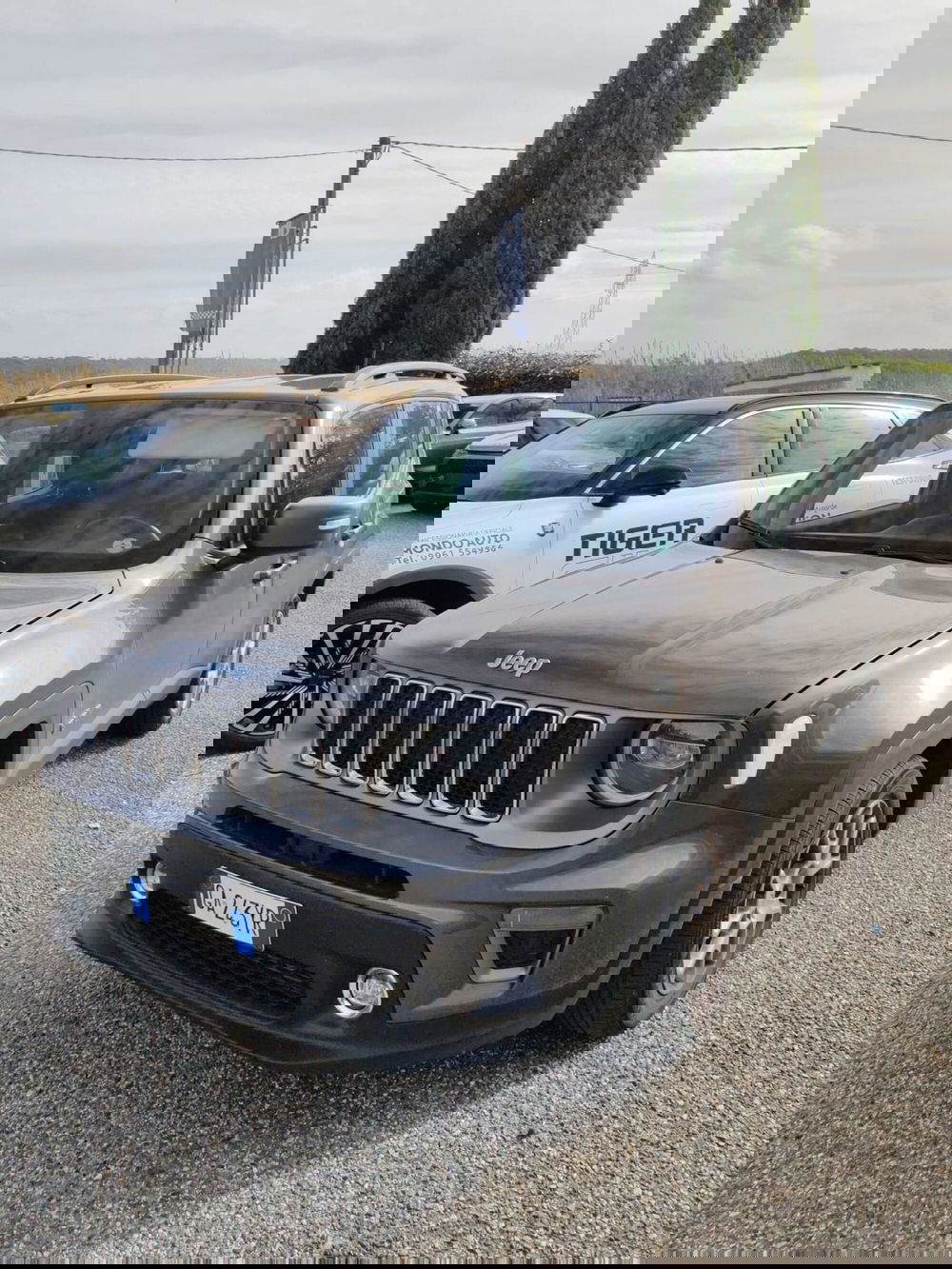 Jeep Renegade usata a Catanzaro (2)