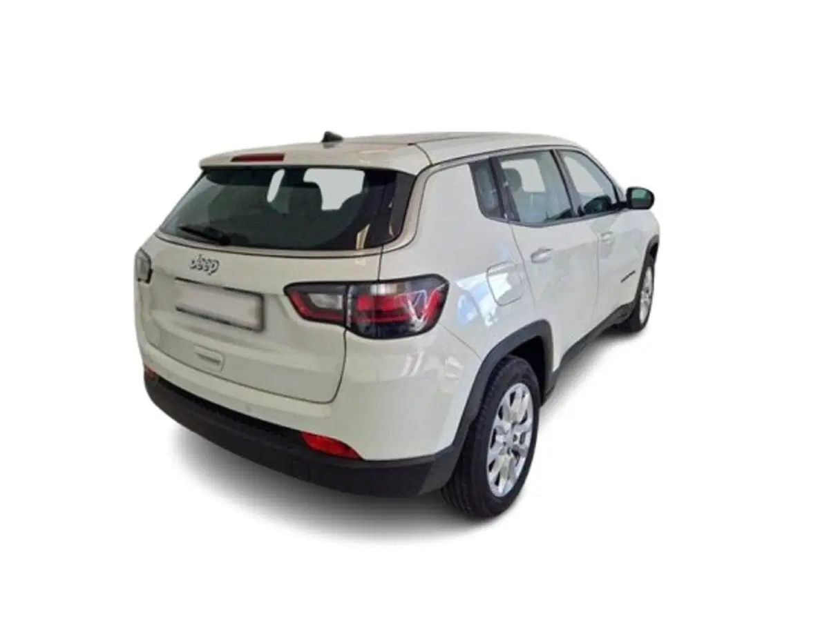 Jeep Compass usata a Bari (2)